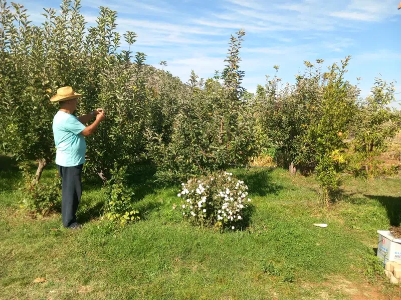 Altinkaya Çi̇ftli̇ği̇ - Photo 1