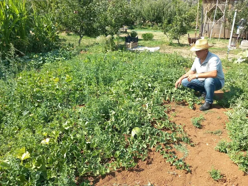 Altinkaya Çi̇ftli̇ği̇ - Photo 3