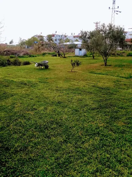 Altınkent Tatil Sitesi - Photo 5