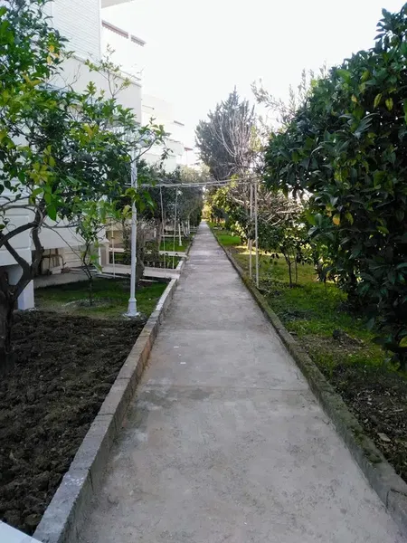 Altınkent Tatil Sitesi - Photo 10