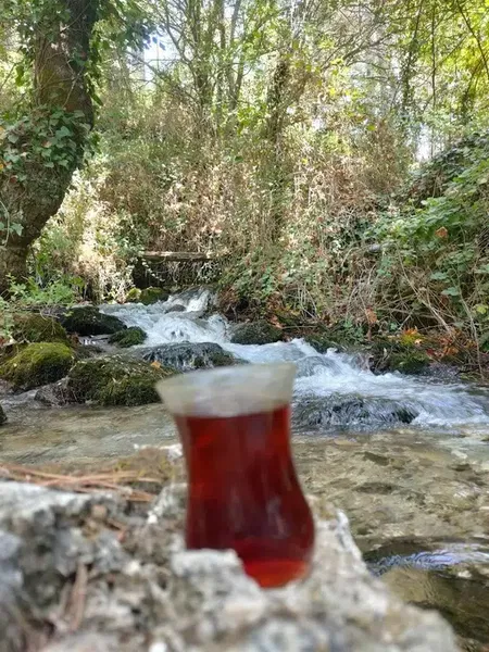 Altınyaka köyü - Photo 6