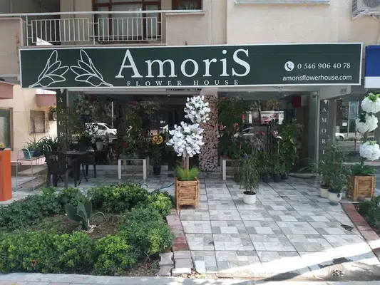 Amorisflowerhouse