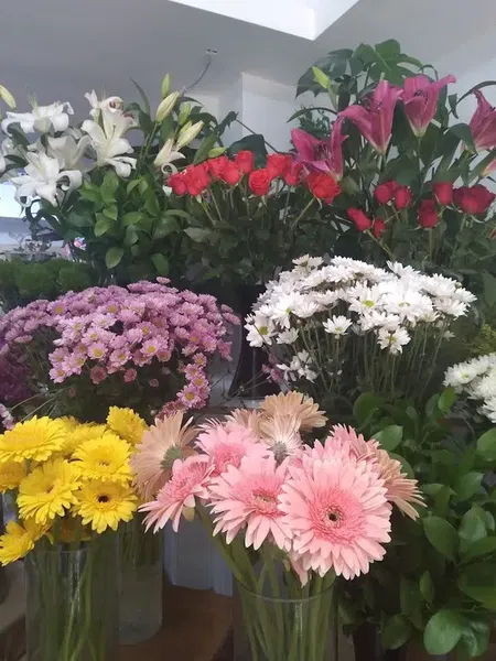 Amorisflowerhouse - Photo 9