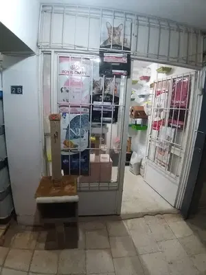 Anadolu Petshop-3
