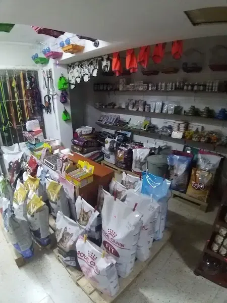 Anadolu Petshop-3 - Photo 4