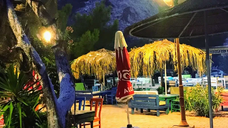 Anadolu Çam Cafe - Photo 2
