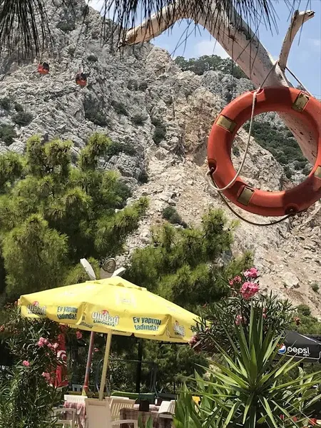 Anadolu Çam Cafe - Photo 3