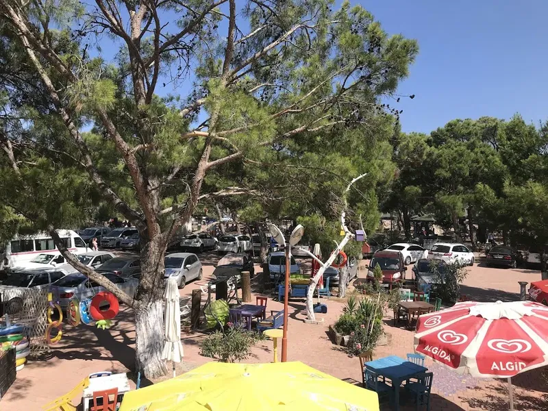 Anadolu Çam Cafe - Photo 5