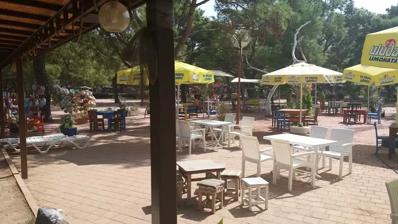 Anadolu Çam Cafe - Photo 6