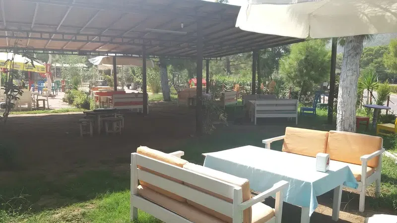 Anadolu Çam Cafe - Photo 9