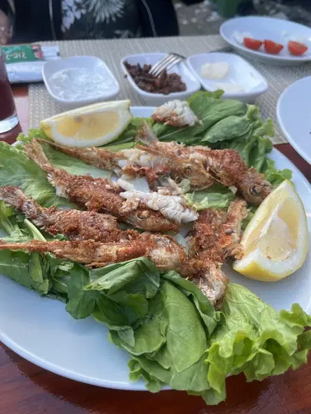 Anatolia BAR KEBAP&RESTAURANT - Photo 10