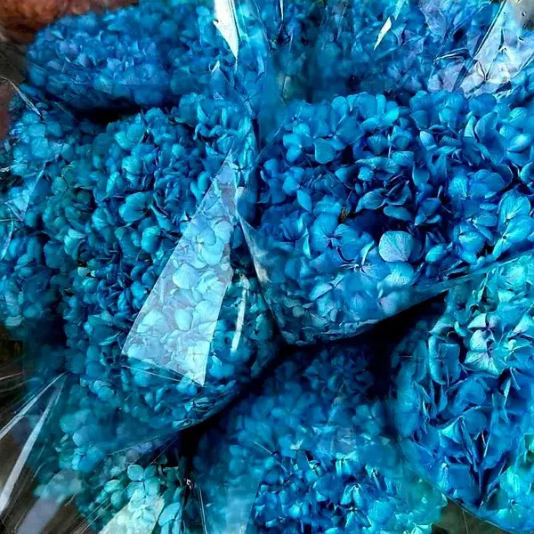Anemon Flowers Antalya - Photo 2