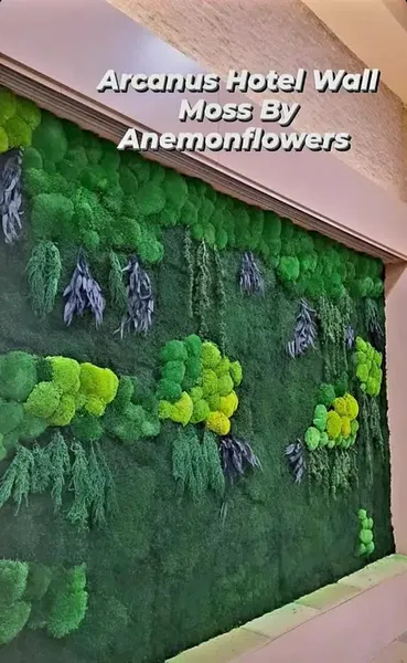 Anemon Flowers Antalya - Photo 4