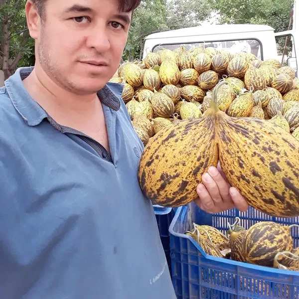 Anex Tarım - Photo 3