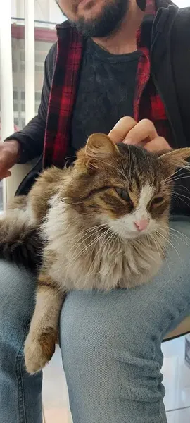 Animal Veteriner Kliniği - Photo 7