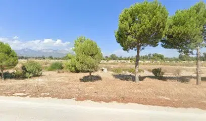 Anprım - Photo 1