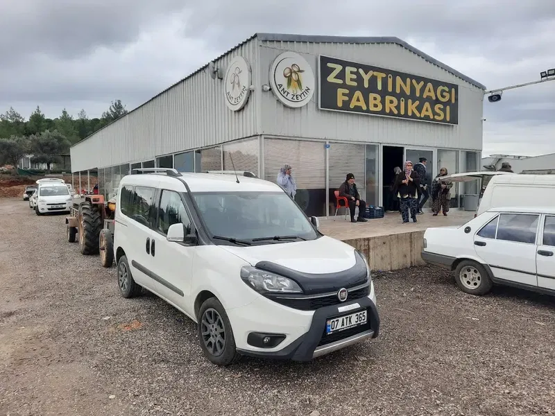 Ant Zeytin - Photo 4