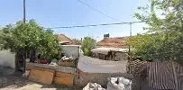 Antalya Akkoca Aricilik (Ömer Akkoca) - Photo 8