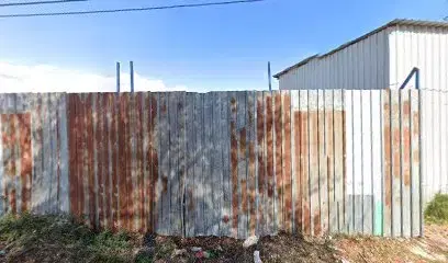 Antalya Altis Orman Ürünleri