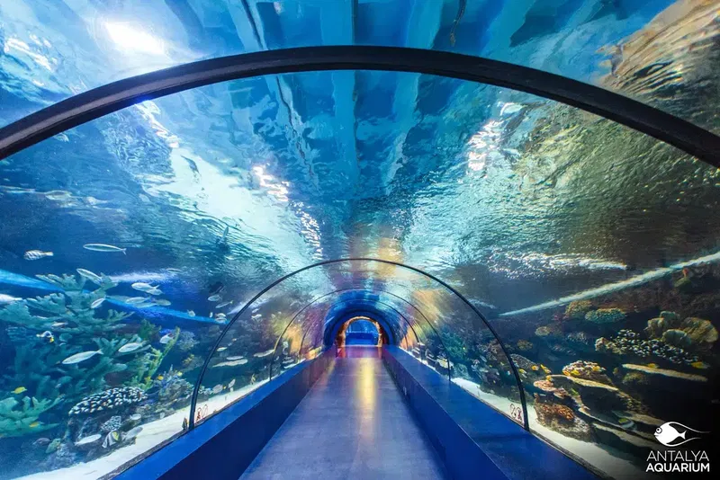 Antalya Aquarium - Photo 3
