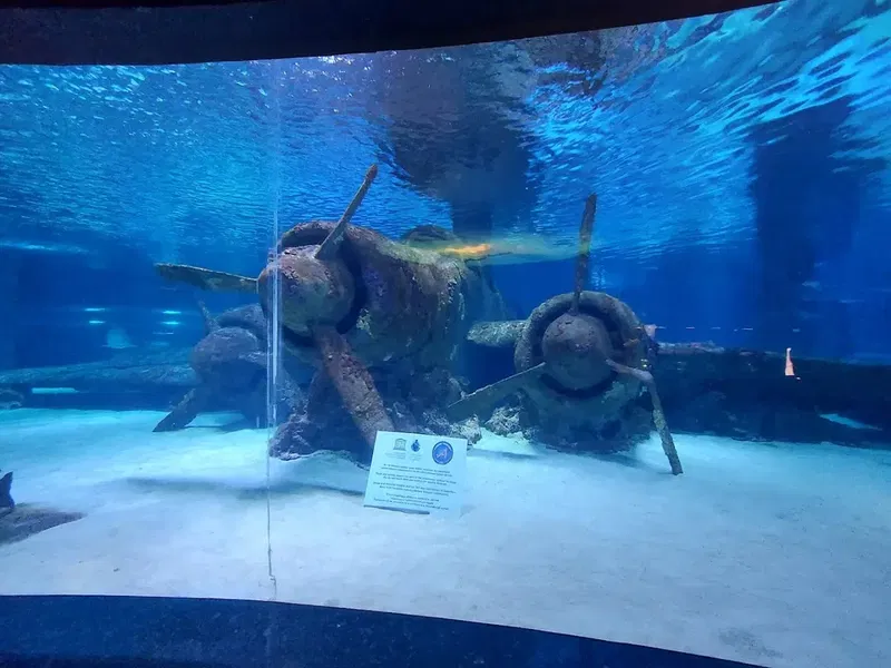 Antalya Aquarium - Photo 5