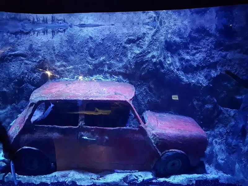 Antalya Aquarium - Photo 7