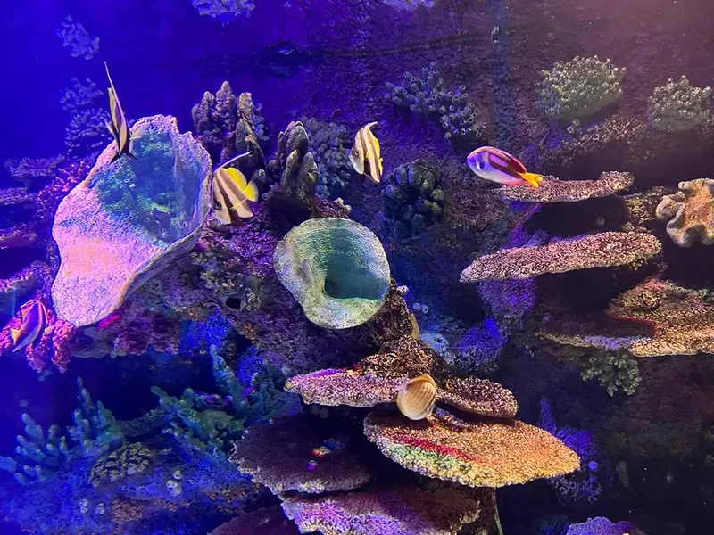 Antalya Aquarium - Photo 9