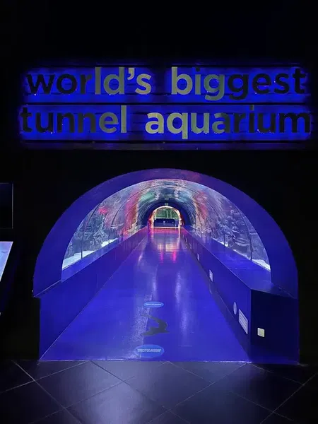 Antalya Aquarium - Photo 10