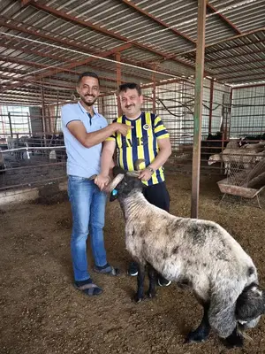 Antalya Aslanlar Adaklik Kurbanlik