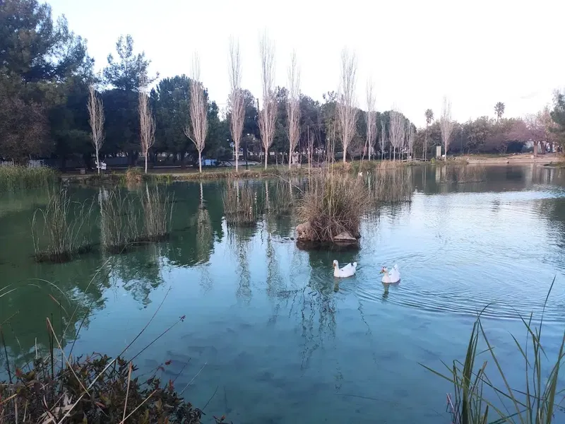 Antalya Açıkhava bahçesi - Photo 6