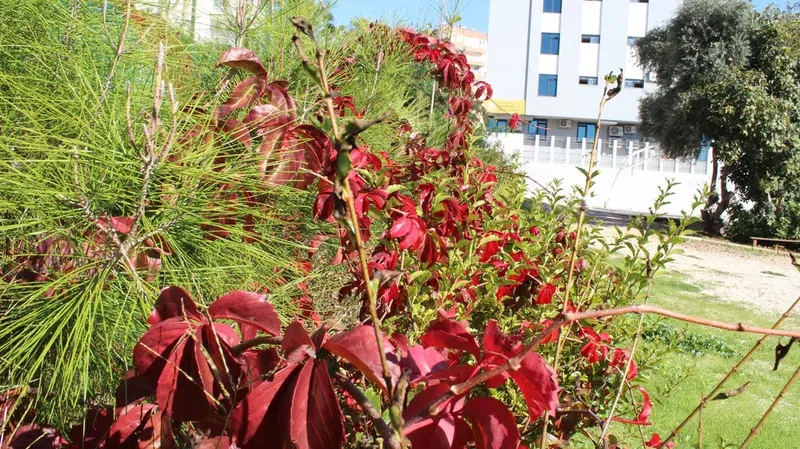 Antalya Başarı Anadolu Lisesi - Photo 10