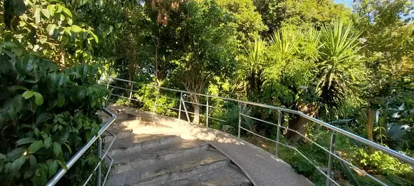 Antalya büyükşehir belediyesi futbol akademisi
