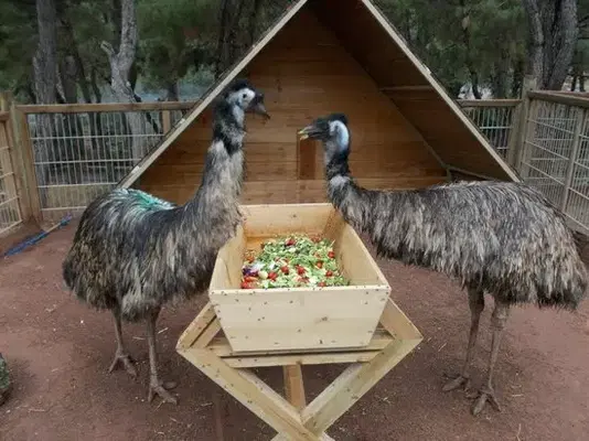 Antalya Zoo