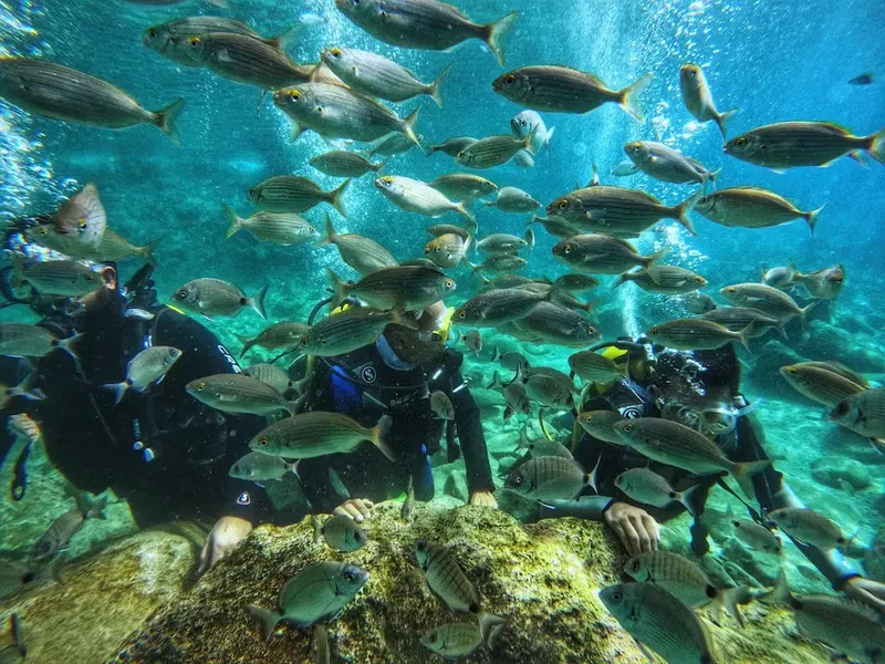 Antalya Dream Diving - Photo 9