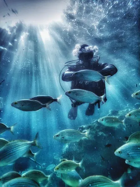Antalya Dream Diving - Photo 10