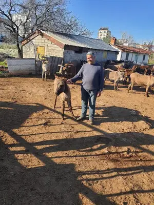 Donkey Milk Farm Antalya