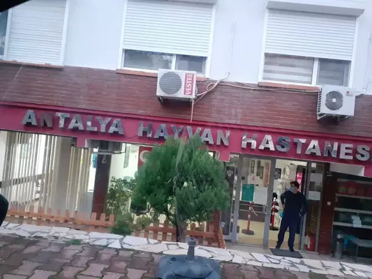 Antalya Hayvan Hastanesi
