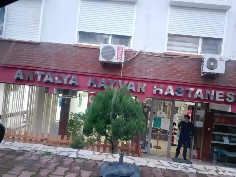 Antalya Hayvan Hastanesi - Photo 1