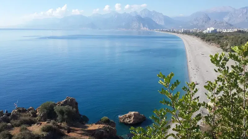 Antalya Hayvan Hastanesi - Photo 4