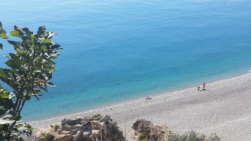 Antalya Hayvan Hastanesi - Photo 5