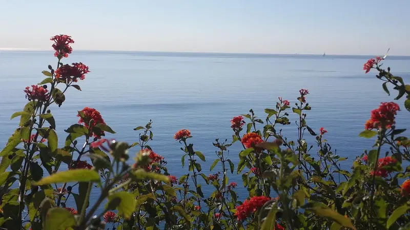 Antalya Hayvan Hastanesi - Photo 8
