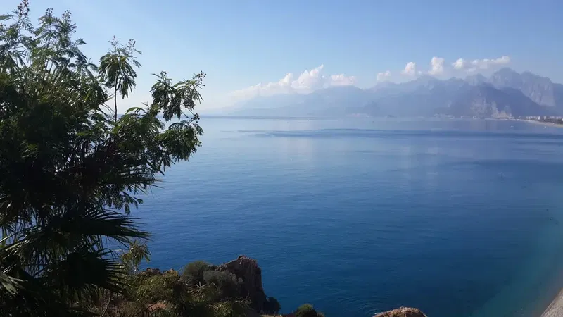 Antalya Hayvan Hastanesi - Photo 10