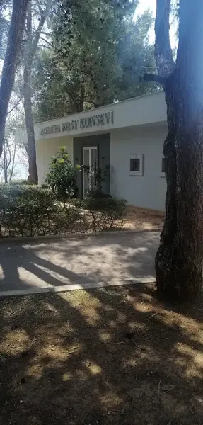 Antalya Kent Konseyi - Photo 7