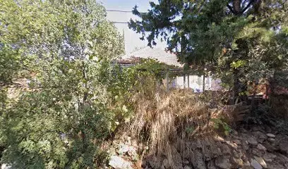 Antalya Melek Transport