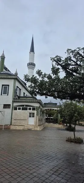 Antalya Oto Hurda - Çekme Belgeli Araç - Bayrakçı Hurdacılık - Photo 8