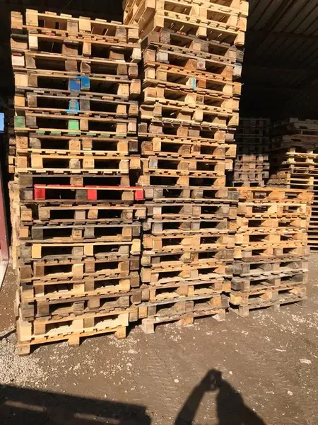 Antalya Pallet - Photo 3
