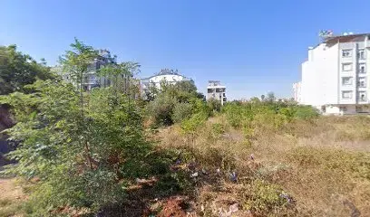 Antalya Protez Tirnak Evi̇