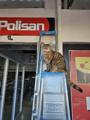 Antalya Yapı Dekorasyon