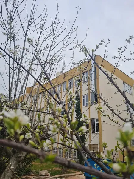 Antalya Yusuf Ziya Öner Fen Lisesi - Photo 10