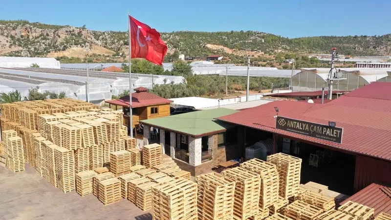 Antalya Çam Palet - Photo 4